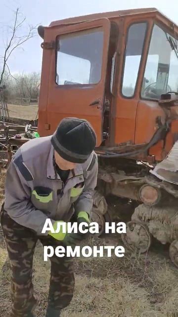 Алиса на ремонте смотреть онлайн