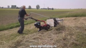 Ворошилка сена для мотоблока Eurosystems P70