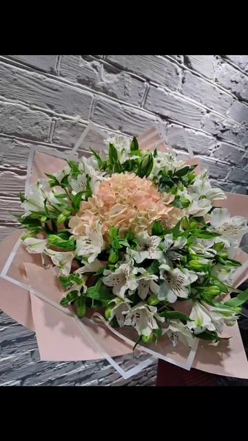 Гортензия 💐👍🥇 #flowers #цветыкавказская #flowervideo #флорис смотреть онлайн
