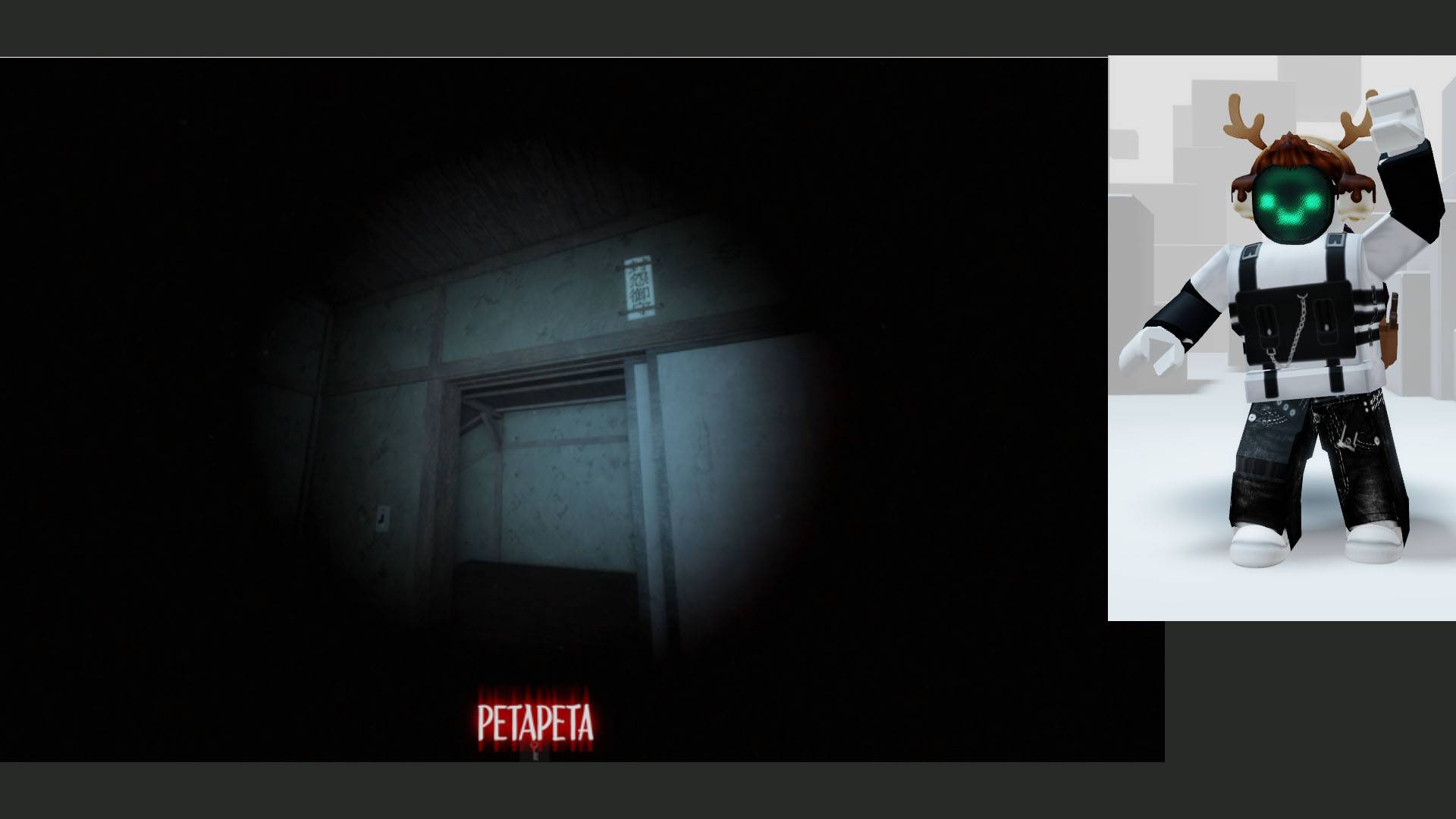 ПЕРВЫЙ РАЗ ИГРАЮ В PETAPETA