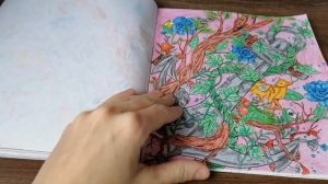 Законченная раскраска Скрытые миры