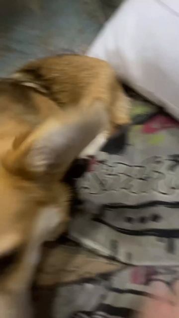 30 июля 2023 г. смотреть онлайн