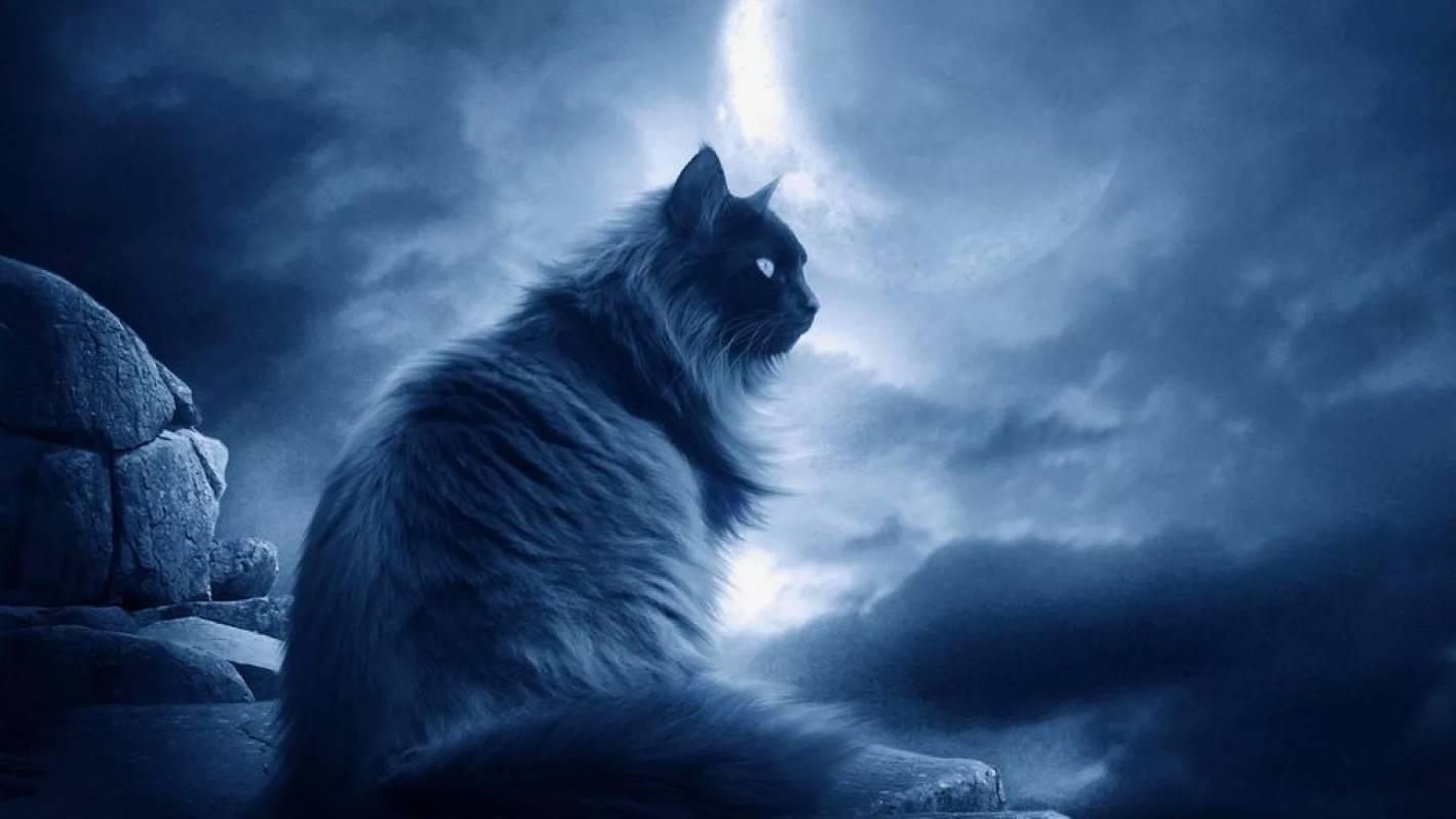 Шестое, седьмое и другие Чувства у Домашних Животных | Интересные факты про питомцев смотреть онлайн