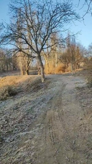 Астра та -12°С