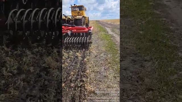 Серебряный лес