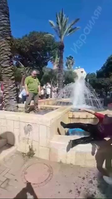 В Израиле выбросили в фонтан проукраинского активиста: «Вон отсюда, тварь!» смотреть онлайн