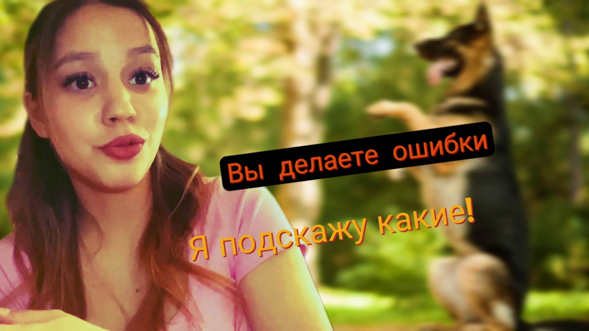 Особенности ошибок в дрессировке собаки смотреть онлайн