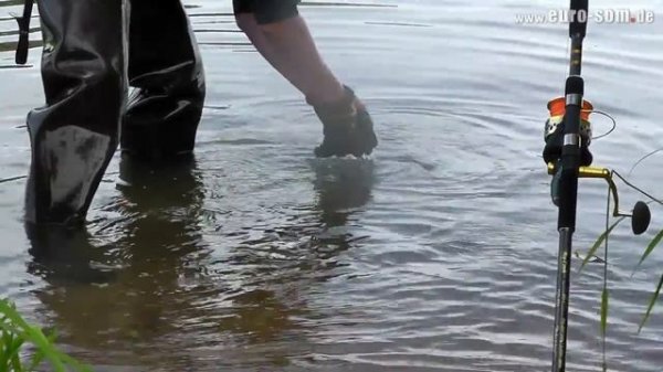 Wallerangeln, Peche au silure, pesca del siluro, catfishing, ловля сома