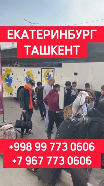 Екатеринбург Ташкент такси автобус #ташкент #екатерин смотреть онлайн