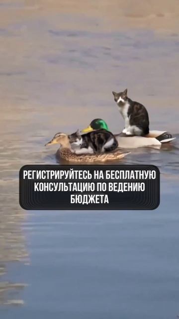 Как начать Управление личными финансами ? Это я разби? смотреть онлайн