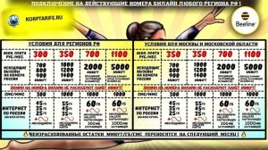 Скрытые тарифы Билайн для телефона 2025. 300 -1100