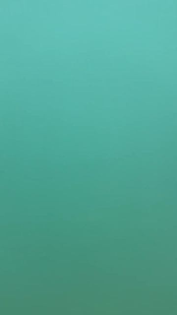 Крым #2024 Морское летнее утро. Когда и отдых и работа со? смотреть онлайн