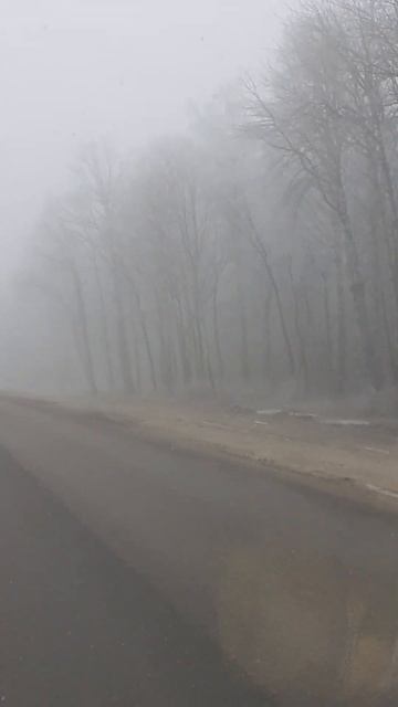 Попали в туман. смотреть онлайн