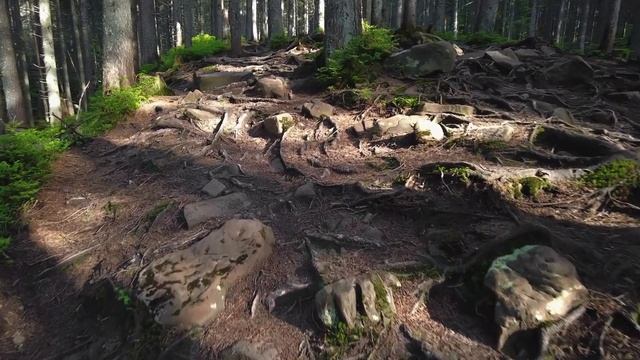 ГОВЕРЛА - Українські Карпати смотреть онлайн