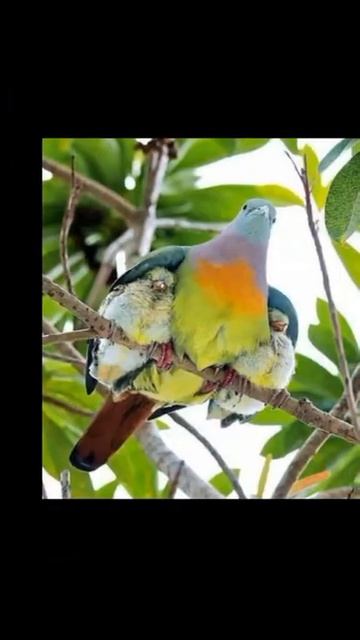 Дополнительный заработок в интернете! Смотри ссылку н смотреть онлайн