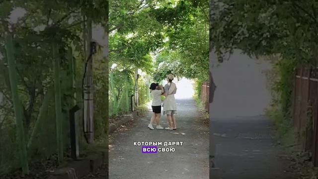 Как "выживают" собаки в Корее? #корея #жизньвкорее #пито смотреть онлайн