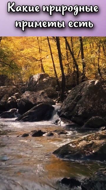 Какие природные приметы есть? #shorts смотреть онлайн