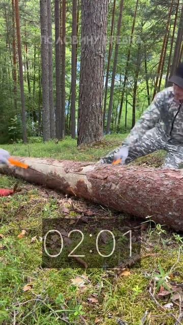 На что способна походная пила? #вайлдберис #озон #пила # смотреть онлайн