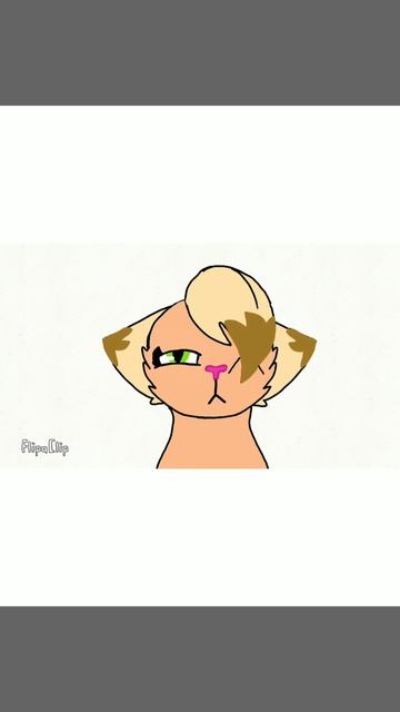 Милый котик🌹😻 смотреть онлайн