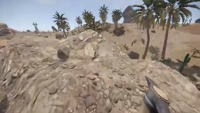 играю в рис