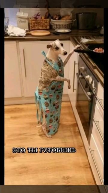 у меня есть твои личные фотографии 😏😏😏😏 смотреть онлайн