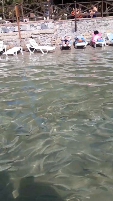 Кушадасы, Турция, Эгейское море. смотреть онлайн