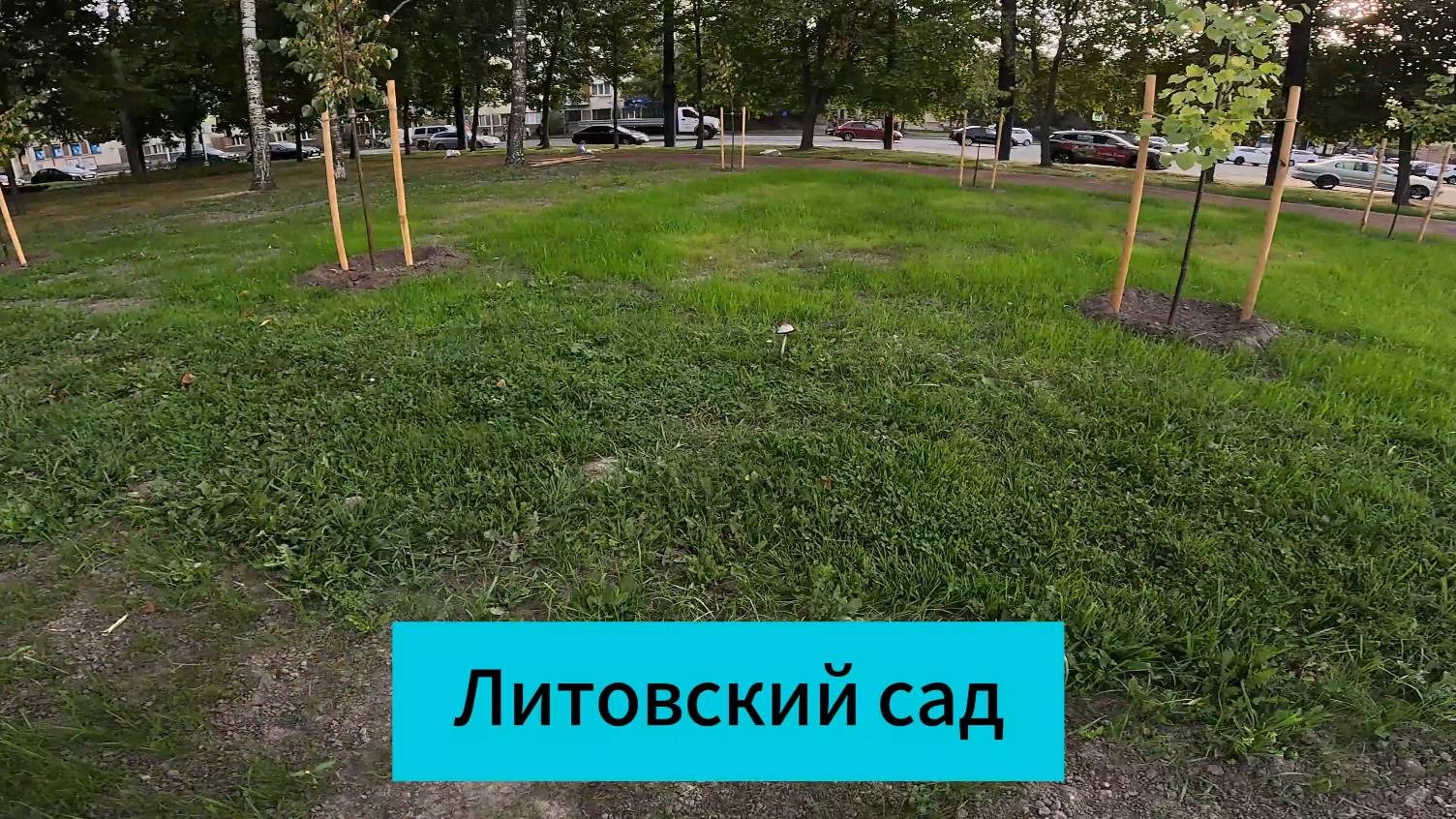 Новолитовский сквер #himradio смотреть онлайн