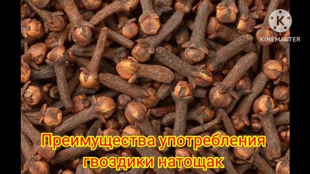 Преимущества употребления гвоздики натощак