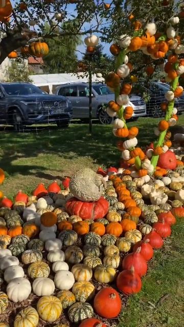 Осенний декор из тыкв 🎃🎃🎃 #ландшафтныйдизайн #горт?