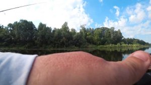 Лодочные моторы Риф Райдер 9.9 ПРО (20сил) и Риф Райдер 5 н