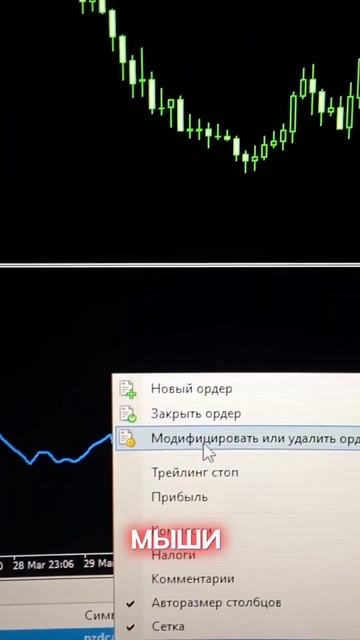 Как правильно поставить стоп лосс с помощью индикатор смотреть онлайн