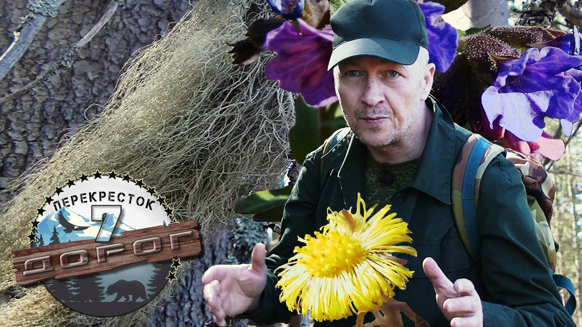 Секреты сбора диких растений от эксперта в бушкрафтинге смотреть онлайн