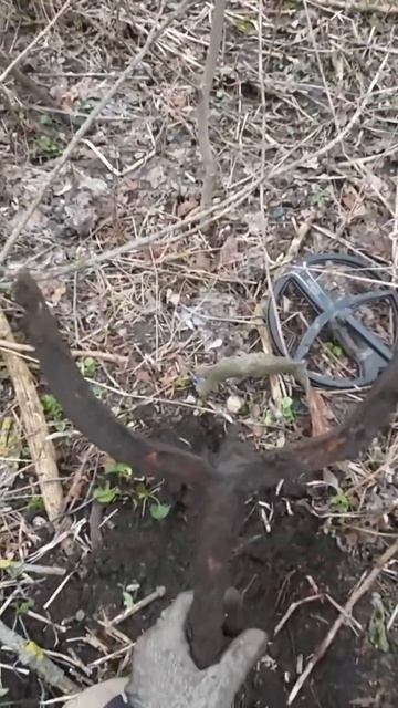 Рогач для валки леса #shorts #metaldetecting #коп #металлоискател смотреть онлайн