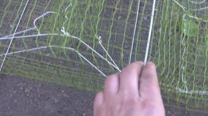 Сделал не обычную раколовку гармошка, как сделать раколорвку гармошка
