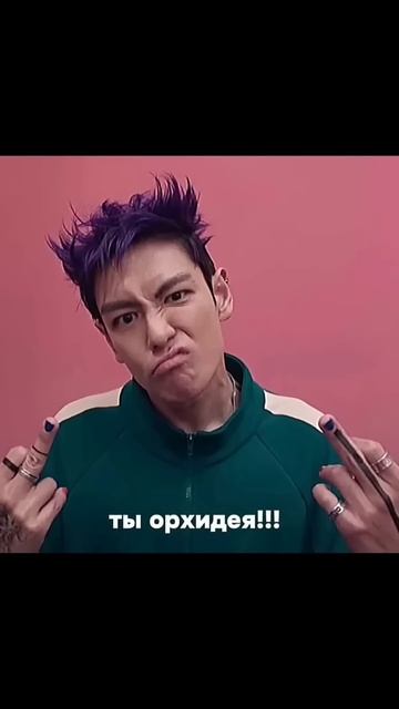 Акции прогорели а вы зажмотились #fun #мем #мемас #рекоме смотреть онлайн