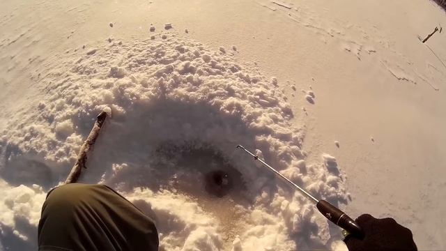 Трофейный окунь на блесну. | Lure perch смотреть онлайн