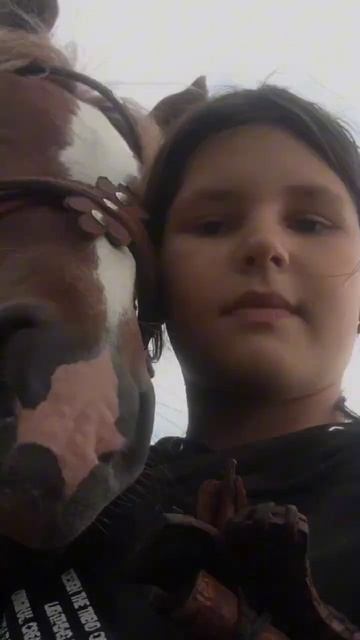 А есть тавро у вашей лошади? смотреть онлайн