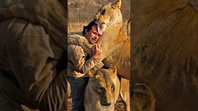 Молитва за больных животных смотреть онлайн