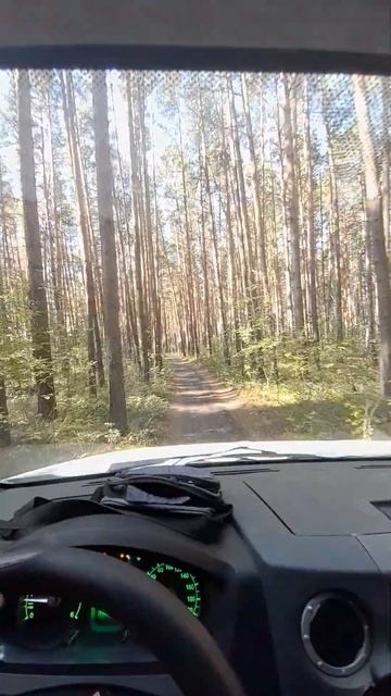 нет пути есть направления смотреть онлайн