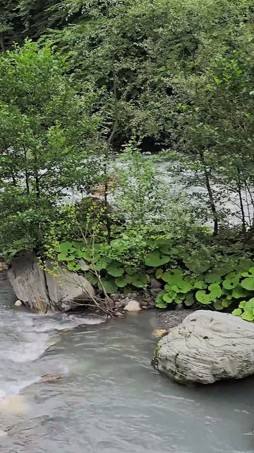 Горная река Мзымта в Краснодарском крае. The mountain river Mzymt смотреть онлайн