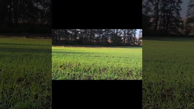 Сей Слово! Всегда. смотреть онлайн