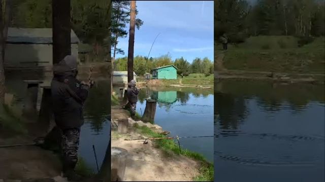 поимки форели смотреть онлайн