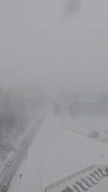 питер сейчас снегопад в апреле 2024 #погода #снегопад #пи смотреть онлайн