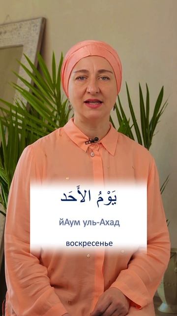 У арабов «понедельник» в воскресение? 😳 #арабскаякул? смотреть онлайн