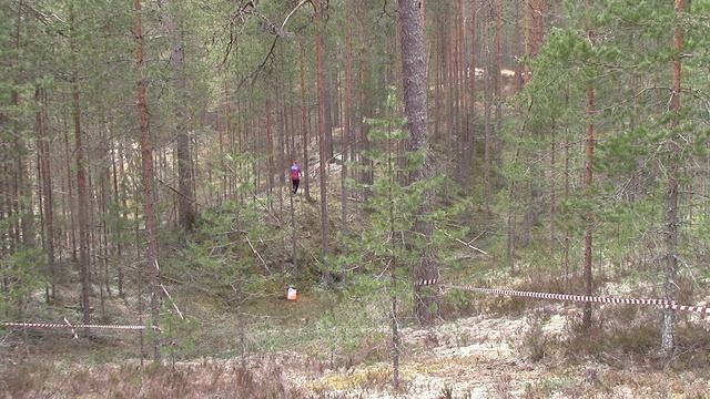 Змей Горыныч 2025 последний КП 5 смотреть онлайн