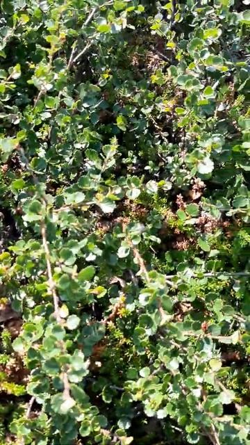 Поездка в Гремиху 22.07.2020 смотреть онлайн