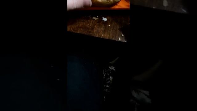 Гамбургер по домашнему 🍔 (ага)