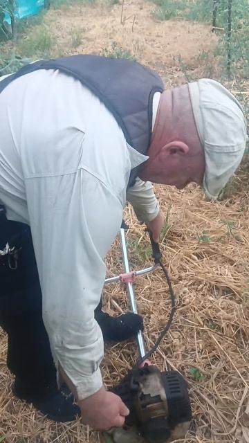 в Августе теплица под цукини смотреть онлайн