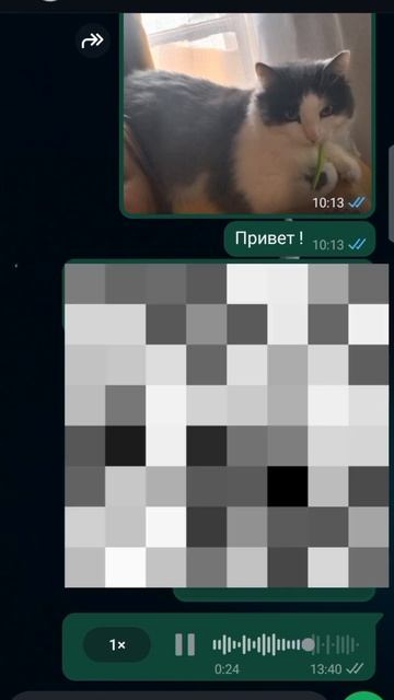 НЕ ХОЧУ СВОЮ ЖЕНУ! #shortvideo #shorts #весна #дети #дом #разгово? смотреть онлайн