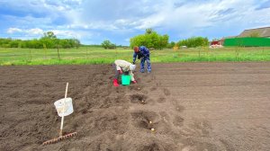 САЖАЕМ КАРТОШКУ. ОБЗОР ПОКУПОК. КУПИЛИ ДОМ В ДЕРЕВНЕ.